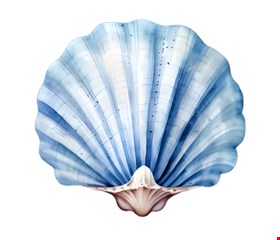 Totem Temático Fundo do Mar - Concha 50cmD