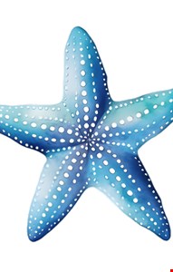 Totem Temático Fundo do Mar - Estrela do Mar 50cmL