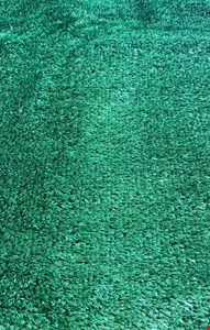 Tapete Verde De Grama Sintética 3m x 2m 