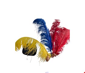 Temático Carnaval - kit penas / plumas coloridas ( amarela, azul e vermelha) 