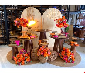 Decoração Adulto - Tropical Laranja, Rosa Pink & Dourado II