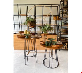 Decoração Adulto - Verde & Madeira II Decoração Adulto - Verde & Madeira II