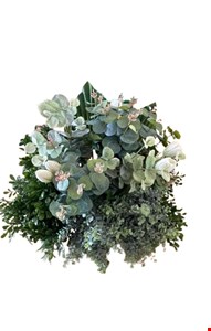 Arranjo Folhagem com Eucalípto e Leque GG 