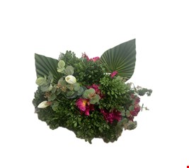 Arranjo Folhagem com Eucalípto, Leque Flores Rosa Pink e Tulipa Branca GG 