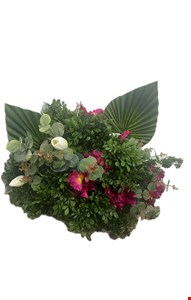 Arranjo Folhagem com Eucalípto, Leque Flores Rosa Pink e Tulipa Branca GG 