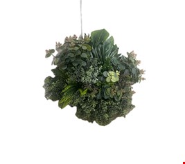 Arranjo Folhagem com Eucalípto e Costela de Adão GG 