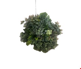 Arranjo Folhagem com Eucalípto e Costela de Adão GG 