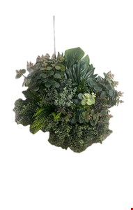 Arranjo Folhagem com Eucalípto e Costela de Adão GG 