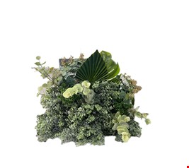 Arranjo Folhagem com Eucalípto Leque e Costela de Adão GG 