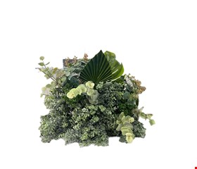 Arranjo Folhagem com Eucalípto Leque e Costela de Adão GG 