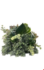 Arranjo Folhagem com Eucalípto Leque e Costela de Adão GG 