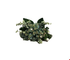 Arranjo Folhagem com Eucalípto, Leque e Tulipa Branca GG 