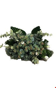 Arranjo Folhagem com Eucalípto, Leque e Tulipa Branca GG 