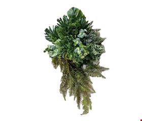 Arranjo Folhagem com Eucalípto, Costela de Adão e Samambaia caindo GG 