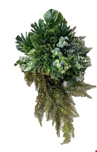 Arranjo Folhagem com Eucalípto, Costela de Adão e Samambaia caindo GG 