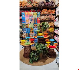 Decoração Adulto - Brasilidade II