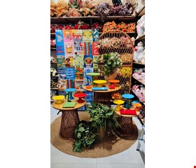 Decoração Adulto - Brasilidade II Decoração Adulto - Brasilidade II