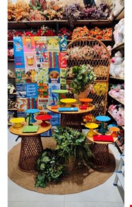 Decoração Adulto - Brasilidade II