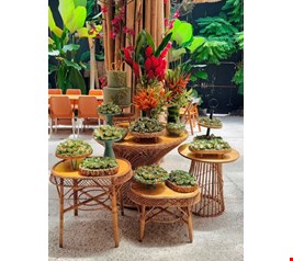 Decoração Adulto - Vime Tropical Verde II