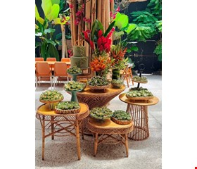 Decoração Adulto - Vime Tropical Verde II