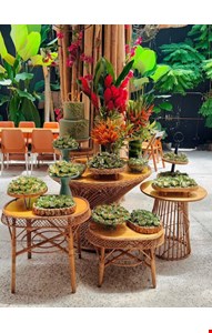 Decoração Adulto - Vime Tropical Verde II