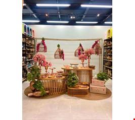 Decoração Adulto - Tropical Rosê Gold I