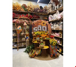 Pacote Decoração Adulto - São João LXIX