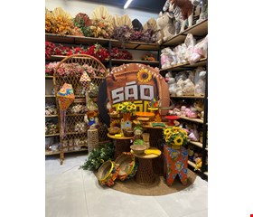 Pacote Decoração Adulto - São João LXIX