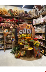 Pacote Decoração Adulto - São João LXIX