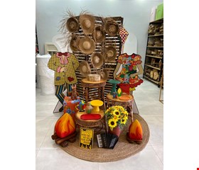 Pacote Decoração Adulto - São João LXX
