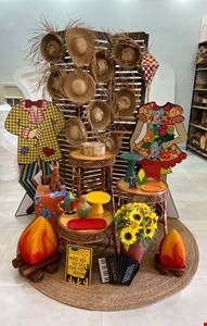 Pacote Decoração Adulto - São João LXX