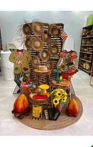 Pacote Decoração Adulto - São João LXX