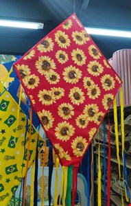 São João Balão de Madeira com Chita Gisrassol São João Balão de Madeira com Chita Gisrassol