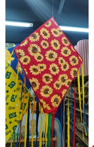 São João Balão de Madeira com Chita Gisrassol São João Balão de Madeira com Chita Gisrassol