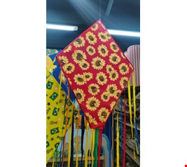 São João Balão de Madeira com Chita Gisrassol São João Balão de Madeira com Chita Gisrassol