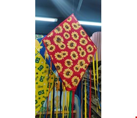 São João Balão de Madeira com Chita Gisrassol São João Balão de Madeira com Chita Gisrassol