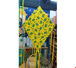 São João Balão de Madeira com Chita Bandeira do Brasil São João Balão de Madeira com Chita Bandeira do Brasil