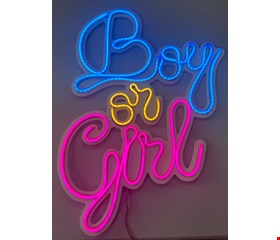 Letreiro de Led - Boy or Girl Luz Azul Amarela e Rosa 50cmA 33cmL