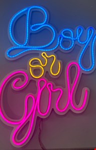 Letreiro de Led - Boy or Girl Luz Azul Amarela e Rosa 50cmA 33cmL