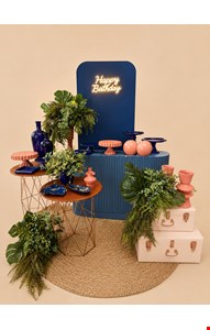 Decoração Adulto - Azul Marinho e Salmão Decoração Adulto - Azul Marinho e Salmão