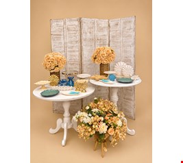 Decoração Adulto- Praia XI