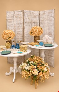Decoração Adulto- Praia XI