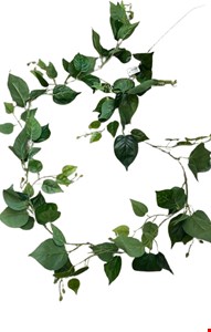 Cordão Galho Verde de Folhas (Novo) Cordão Galho Verde de Folhas (Novo)
