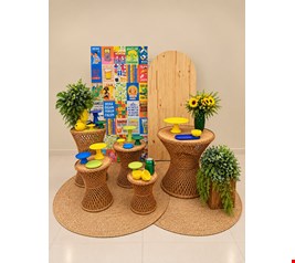 Decoração Adulto - Brasilidade III