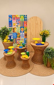Decoração Adulto - Brasilidade III