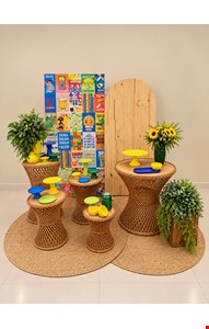 Decoração Adulto - Brasilidade III