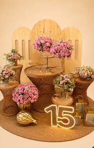 Decoração - 15 anos Rosa & Madeira 