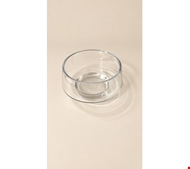 Vaso de Vidro Baixo 14cmD 9cmA Vaso de Vidro Baixo 14cmD 9cmA